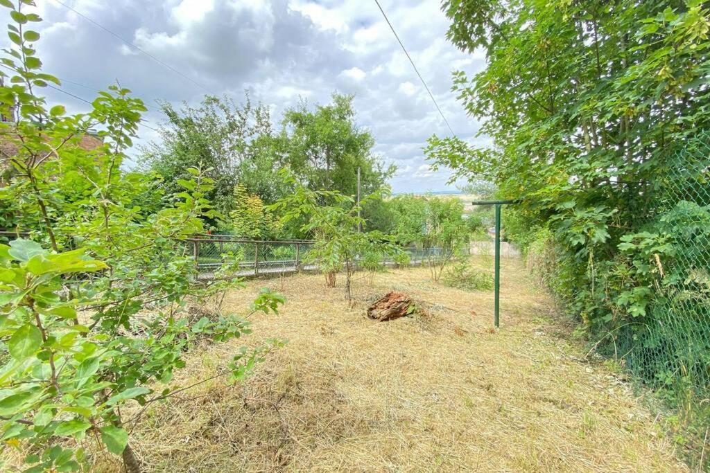 Appartement Rez-De-Chaussee ラン エクステリア 写真